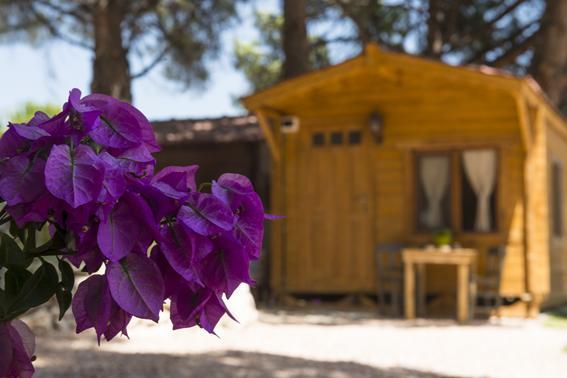 Morkoyun Bungalov Kamp Mordogan Extérieur photo
