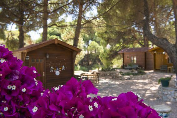 Morkoyun Bungalov Kamp Mordogan Extérieur photo