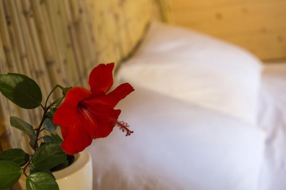 Morkoyun Bungalov Kamp Mordogan Chambre photo